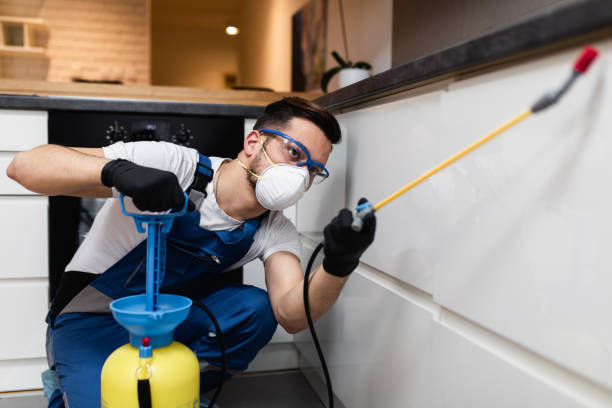 Best Ant Control Services  in Butler, IN