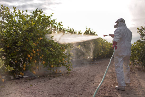 Best Residential Pest Control  in Butler, IN