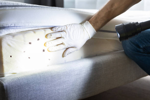Best Cockroach Control Services  in Butler, IN