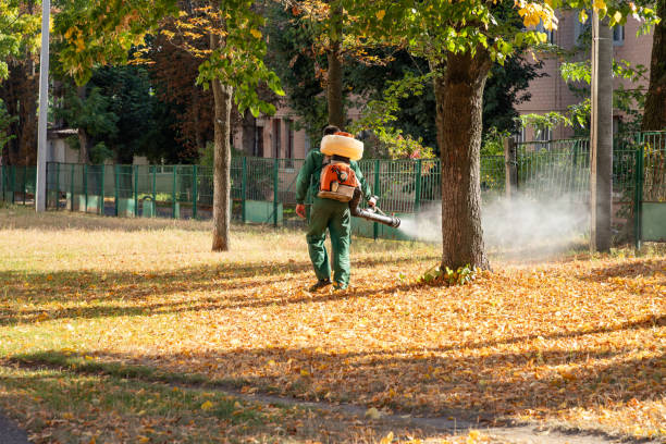 Best Pest Prevention Services  in Butler, IN