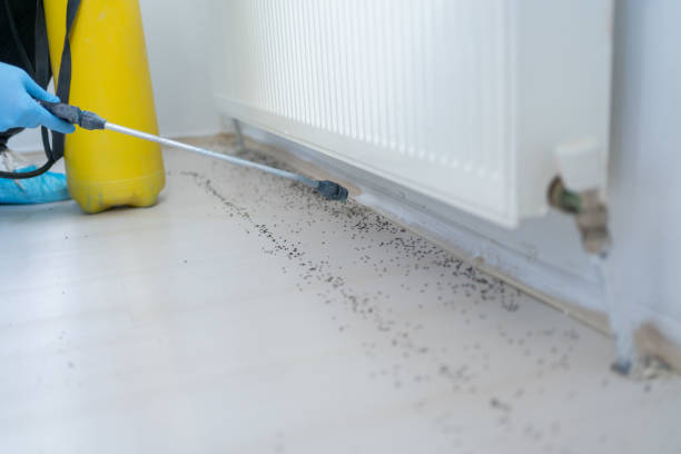 Professional Pest Control in Butler, IN